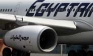 [속보] “이집트 여객기 납치범 폭탄벨트는 가짜”