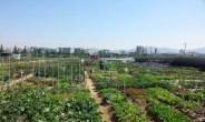 성남시민농원 9일 개장 “나도 도시 농부”