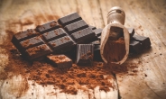 [초콜릿의 기적 ①] 초콜릿은 건강에 좋을까 나쁠까
