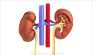 만성콩팥병 환자, 30년간 30배 증가…증가율 세계 3위 수준