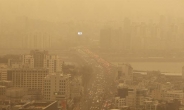 중국 주요 도시 78% 대기오염 ‘심각’