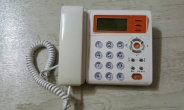 “돈 보내라”며 중국집에 ‘스팸의심’ 전화 수백통