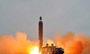군 전문가 “북한 무수단, 그리드핀으로 기술진전”