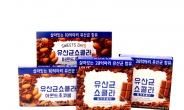 롯데제과, 국내 최초 김치유산균 초콜릿 ‘유산균쇼콜라’ 출시