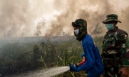 지난해 인도네시아 연무로 10만명 조기 사망
