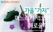 [리얼푸드] [푸드카드]가을 가지는 정말 며느리가 먹으면 해로울까?