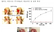 KAIST, 찔러도 출혈 없는 주사 바늘 개발