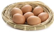 [비만 탈출법 ②] 계란 노른자엔 콜레스테롤이 많다? 레시틴 성분 혈중 콜레스테롤 떨어뜨려…하루 1~2개가 적당