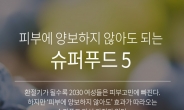 [리얼푸드]피부에 양보하지 않아도 되는 슈퍼푸드5