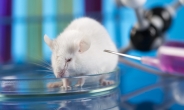 의약품 안전관리 위해 희생한 실험동물 생명존중행사 개최
