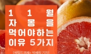 [리얼푸드]11월, 자몽을 먹어야 하는 이유 5가지