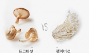 [리얼푸드][푸드파이트]표고버섯 vs 팽이버섯, 요리에 뭘 넣지?