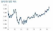 원/달러 환율, 브렉시트 후 5개월여 만에 1180원 선 넘어