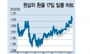 ‘달러인덱스’ 2003년이후 최고치… 원·달러 환율 1200원 넘본다