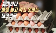 [카드뉴스]계란 하나, 마음놓고 먹지 못하는 대한민국