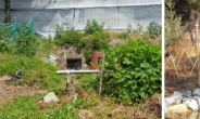 폐우물 살렸다…봉제산 무허가촌 ‘생태연못’ 조성