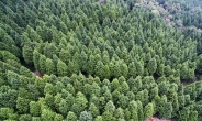 ‘숲속의 전남’ 3차년도 1000만그루 심기 도전