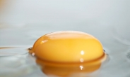 계란 노른자색이 진할수록 영양가 높다?