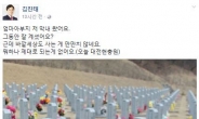 “엄마 저 왔어요”…김진태 대선 출마 직전 묘소 방문