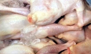 브라질 썩은 닭고기 파동…중국, 칠레도 수입 중단