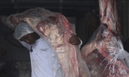 브라질 ‘썩은 고기 파문’ 일파만파…중국도 수입중단