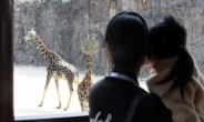 “동물 보호해야” 스페인서 힘받는 가상동물원 설치론
