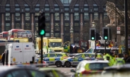 “‘런던 테러범’ 전문범행 아니다”