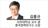 [특별기고-김흥규 아주대학교 교수 겸 중국정책연구소 소장] 한반도 전쟁 위기설과 이상한 대선