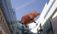 [세상은 지금]영국 런던 하늘에 ‘날으는 돼지’출몰