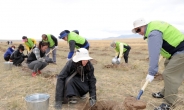 수원시, 몽골 사막에 ‘희망의 나무’ 1만 그루 식재