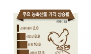 계란 61%·양파 34%·풋고추 32%…치솟는 서민 밥상물가