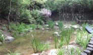 도봉구, 초안산 생태연못서 ‘반딧불이 방사행사’