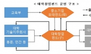 서울대 등 대학창업펀드 기술지주형 5개교 선정…총 171억원 조성