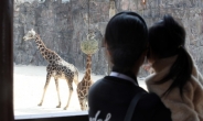 “관사에서 자고 가”…서울대공원 동물원장, 여직원 성추행 의혹