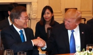 [한미정상회담]文대통령 “북핵 문제 해결하면 위대한 대통령 될 것…트럼프 외교 전적 공감”