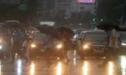 [29일 날씨] 중부 최대 70㎜ 폭우…천둥·번개 동반