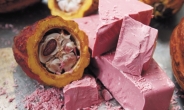 색소 안쓰고 분홍색 신개념 ‘루비 초콜릿’ 중국인 ‘눈맛’ 잡을까