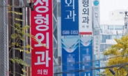 “성형ㆍ피부미용으로 한국 찾은 외국인 지난해 10만명,  2700억 썼다”