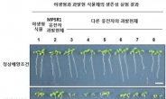 환경 스트레스 이겨내는 신기능 작물 나온다