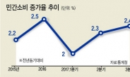 [2018 한국경제 ‘3개의 허들’] 소비심리 살아났지만…소득·금리·투자 불안요인