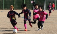 ‘2018 동계클럽 유소년축구 페스티벌’, 경주서 이달 13일 개막