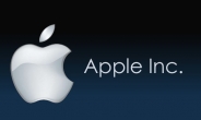 애플, 中 인터넷 굴기에 굴복...클라우드 정보관리 현지업체에 이관