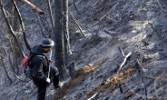 삼척산불 닷새 만에 사실상 완전진압…산림 117㏊ 잿더미