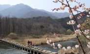 [봄나들이, 건강부터 ①] 해빙기 미끄러운 산에서 한번 삔 발목, 계속 삐어요