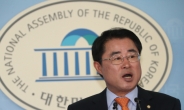 민평당 “자유한국당ㆍ바미당, 정상회담에 고추가루 뿌리나” 비판