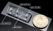 3차원 종양 대량생산 성공…맞춤형 항암제 개발 청신호