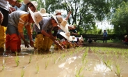 송파구, ‘도심 속 전통 농사체험’ 운영