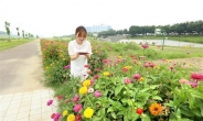 [포토뉴스] 안양천 꽃밭서 ‘찰칵’