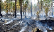 ‘최악 산불’에 공군 전투기까지 진화작업 투입…스웨덴, NATO에 SOS