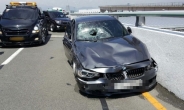 ‘김해공항 BMW사고’ 벌써 깜박…하루 평균 124대 ‘과속’ 적발